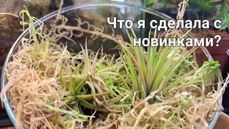 Новинки,