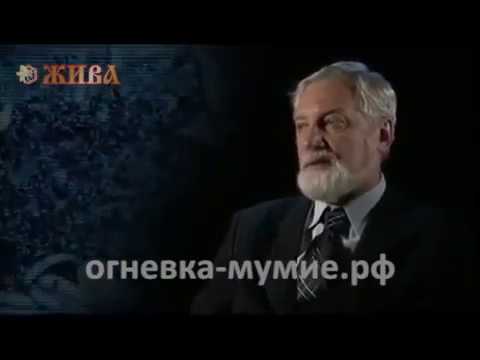 Огневка канал Рен