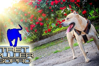 TreT, PULLER & GoPro