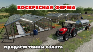 Farming Simulator 22  ВОСКРЕСНАЯ ФЕРМА, ПРОДАЕМ ТОННЫ САЛАТА / Logitech G27 gameplay