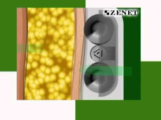 Пояс для похудения ZENET TL-2005L-B