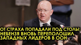 Три мин назад! От страха попадали под столы: Небензя вновь переполошил западных лидеров в ООН