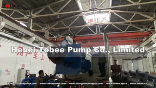 Tobee 200SV SP Vertical Spindle Slurry Pump Africa