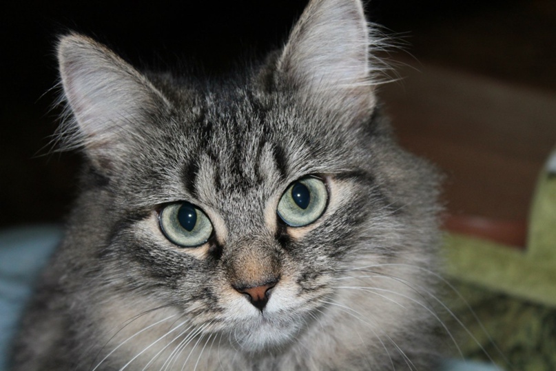 Виктор Кирилюк | Запорожье