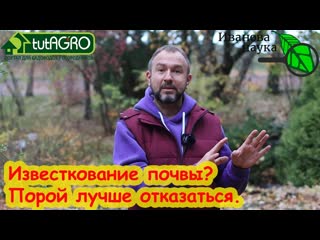 НЕ БРОСАЙТЕСЬ ИЗВЕСТКОВАТЬ ПОЧВУ! Раскисление без известкования. Чем безопасно раскислить грунт.