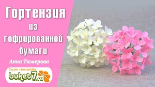 Гортензия из гофрированной бумаги  Цветы из бумаги  Поделки из бумаги  Цветы своими руками