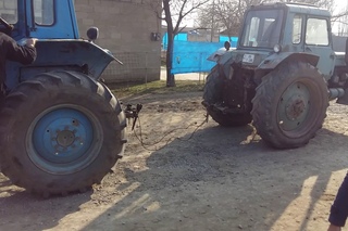Namiq ve Ruslan dartima Berde