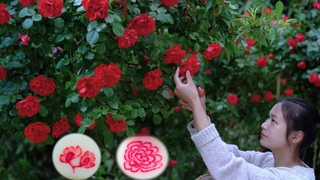 Filling Flowers into Glutinous Rice Cake! A specialty of Tujia Ethnicity in Guizhou!