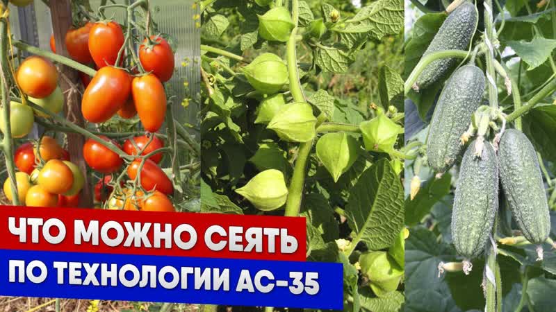 Что можно сеять по технологии АС